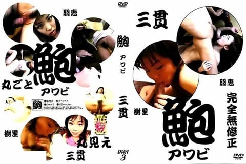 鲍鱼素人 3 DS-DWA3